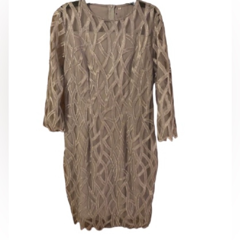 NWOT Women’s Formal dress, Size XL, Silver lace pattern over sheer, scalloped
